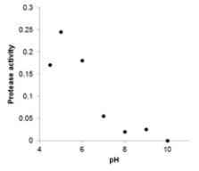 <strong>The protease activity found in walnuts preserved in buffers of various pHs is listed in the following table: ? ? \begin{array} { | l | l | l | l | l | l | l | l | } \hline \mathrm { pH } & 4.5 & 5 & 6 & 7 & 8 & 9 & 10 \\ \hline \text { protease activity } & 0.17 & 0.245 & 0.28 & 0.055 & 0.02 & 0 & 0.025 \\ \hline \end{array} Which of the following scatterplots is a correct representation of the data?</strong> A) B) C) D)