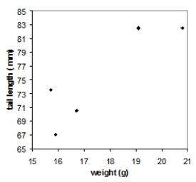<strong>Tail-feather length in birds is sometimes a sexually dimorphic trait. That is, the trait differs substantially for males and for females. Researchers studied the relationship between weight (x) and tail-feather length (y) in a sample of five wild male long-tailed finches. Here are the data: \begin{array} { c c } \text { weight } ( \mathrm { g } ) & \text { tail length } ( \mathrm { mm } ) \\ 20.8 & 82.5 \\ 19.1 & 82.5 \\ 15.9 & 67.0 \\ 16.7 & 70.5 \\ 15.7 & 73.5 \end{array} Which of the following scatterplots is a correct representation of these data?</strong> A) B) C) D)