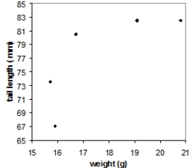 <strong>Tail-feather length in birds is sometimes a sexually dimorphic trait. That is, the trait differs substantially for males and for females. Researchers studied the relationship between weight (x) and tail-feather length (y) in a sample of five wild male long-tailed finches. Here are the data: \begin{array} { c c } \text { weight } ( \mathrm { g } ) & \text { tail length } ( \mathrm { mm } ) \\ 20.8 & 82.5 \\ 19.1 & 82.5 \\ 15.9 & 67.0 \\ 16.7 & 70.5 \\ 15.7 & 73.5 \end{array} Which of the following scatterplots is a correct representation of these data?</strong> A) B) C) D)