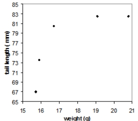 <strong>Tail-feather length in birds is sometimes a sexually dimorphic trait. That is, the trait differs substantially for males and for females. Researchers studied the relationship between weight (x) and tail-feather length (y) in a sample of five wild male long-tailed finches. Here are the data: \begin{array} { c c } \text { weight } ( \mathrm { g } ) & \text { tail length } ( \mathrm { mm } ) \\ 20.8 & 82.5 \\ 19.1 & 82.5 \\ 15.9 & 67.0 \\ 16.7 & 70.5 \\ 15.7 & 73.5 \end{array} Which of the following scatterplots is a correct representation of these data?</strong> A) B) C) D)