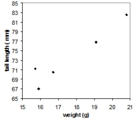 <strong>Tail-feather length in birds is sometimes a sexually dimorphic trait. That is, the trait differs substantially for males and for females. Researchers studied the relationship between weight (x) and tail-feather length (y) in a sample of five wild male long-tailed finches. Here are the data: \begin{array} { c c } \text { weight } ( \mathrm { g } ) & \text { tail length } ( \mathrm { mm } ) \\ 20.8 & 82.5 \\ 19.1 & 82.5 \\ 15.9 & 67.0 \\ 16.7 & 70.5 \\ 15.7 & 73.5 \end{array} Which of the following scatterplots is a correct representation of these data?</strong> A) B) C) D)
