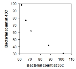 <strong>Five strains of the Staphylococcus aureus bacteria were grown for 24 hours either at 35 degrees Celsius or at 43 degrees Celsius. Here are the resulting bacterial counts for each condition: \begin{array}{c} \begin{array}{lll} \text{24 hours at 35 degrees Celsius}\\ 66\\ 71\\ 93\\ 102\\ 62 \end{array} \begin{array}{lll} \text{24 hours at 43 degrees Celsius}\\ 98 \\ 67 \\ 42 \\ 31 \\ 77 \end{array} \end{array} Which of the following scatterplots is a correct representation of these data?</strong> A) B) C) D)