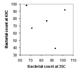 <strong>Five strains of the Staphylococcus aureus bacteria were grown for 24 hours either at 35 degrees Celsius or at 43 degrees Celsius. Here are the resulting bacterial counts for each condition: \begin{array}{c} \begin{array}{lll} \text{24 hours at 35 degrees Celsius}\\ 66\\ 71\\ 93\\ 102\\ 62 \end{array} \begin{array}{lll} \text{24 hours at 43 degrees Celsius}\\ 98 \\ 67 \\ 42 \\ 31 \\ 77 \end{array} \end{array} Which of the following scatterplots is a correct representation of these data?</strong> A) B) C) D)