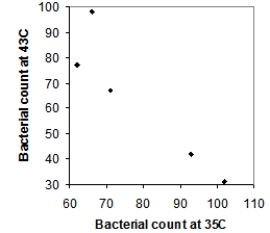 <strong>Five strains of the Staphylococcus aureus bacteria were grown for 24 hours either at 35 degrees Celsius or at 43 degrees Celsius. Here are the resulting bacterial counts for each condition: \begin{array}{c} \begin{array}{lll} \text{24 hours at 35 degrees Celsius}\\ 66\\ 71\\ 93\\ 102\\ 62 \end{array} \begin{array}{lll} \text{24 hours at 43 degrees Celsius}\\ 98 \\ 67 \\ 42 \\ 31 \\ 77 \end{array} \end{array} Which of the following scatterplots is a correct representation of these data?</strong> A) B) C) D)