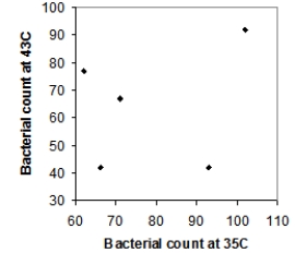 <strong>Five strains of the Staphylococcus aureus bacteria were grown for 24 hours either at 35 degrees Celsius or at 43 degrees Celsius. Here are the resulting bacterial counts for each condition: \begin{array}{c} \begin{array}{lll} \text{24 hours at 35 degrees Celsius}\\ 66\\ 71\\ 93\\ 102\\ 62 \end{array} \begin{array}{lll} \text{24 hours at 43 degrees Celsius}\\ 98 \\ 67 \\ 42 \\ 31 \\ 77 \end{array} \end{array} Which of the following scatterplots is a correct representation of these data?</strong> A) B) C) D)