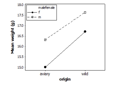 <strong>Does the environment affect bird weight? Researchers measured the weight (in grams) of male and female adult finches that were either raised in an aviary or caught in the wild. This observational study does not have a balanced design, particularly because finches caught in the wild were more difficult to obtain. A total of 52 finches were studied. A partial ANOVA table is provided below, along with an interaction plot displaying the group means. \begin{array}{l} \begin{array} { l r r r } \text { Factor } & \text { Type } & \text { Levels } & \text { Values } \\ \text { malefemale } & \text { fixed } & 2 & f , m \\ \text { origin } & \text { fixed } & 2 & \text { aviary, wild } \end{array}\\ \\ \text { Analysis of Variance for bird weight }\\ \\ \begin{array} { l r r r r r } \text { Source } & \text { DF } & \text { SS } & \text { MS } & \text { F } & \text { P } \\ \text { Malefemale } & 1 & 10.844 & 10.844 & & \\ \text { origin } & 1 & 19.607 & 19.607 & & \\ \text { interaction } & 1 & 0.340 & 0.340 & & \\ \text { Error } & 48 & 125.140 & 2.607 & & \end{array} \end{array} S = 1.61465 R-Sq = 23.88% R-Sq(adj) = 19.12% What is the F statistic for the interaction effect?</strong> A)7.5 B)4.2 C)2.6 D)0.1