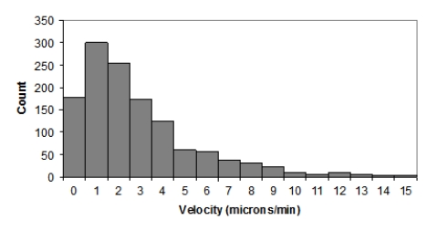 <strong>Here is a histogram of T-cell velocities in vitro (in microns per minute): The data represent a random sample of T cells grown in lab conditions. Is it appropriate to compute a 95% for the mean T-cell velocity μ? </strong> A)Yes, despite the clearly skewed data, because the sample size is large enough B)No, because the data are clearly skewed C)Yes, because the population of T-cell velocities is most likely approximately Normal D)No, because the population of T-cell velocities is most likely not Normal