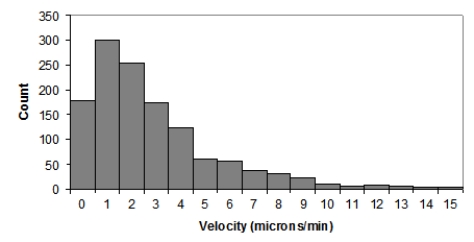 <strong>Here is a histogram of T-cell velocities in vitro (in microns per minute): Which of the following statements is NOT true?</strong> A)The population distribution of T-cell velocities is most likely skewed to the right. B)The distribution of T-cell velocities would be more Normal if the researchers had collected more data. C)When n is large, the sampling distribution of average T-cell velocities is approximately Normal. D)The sampling distribution of average T-cell velocities for samples of size n = 10 is very likely right-skewed.