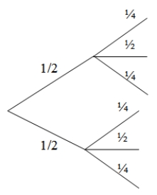 <strong>Two-thirds of patients in a drug trial suffered from severe migraines as a side effect. Another side effect was impaired vision, with 25% of all patients having no impairment, 50% having some impairment, and 25% having severe impairment. Based on these probabilities, which of the following would be the correct tree diagram?</strong> A) B) C)Both A and B are correct. D)Neither A nor B is correct.