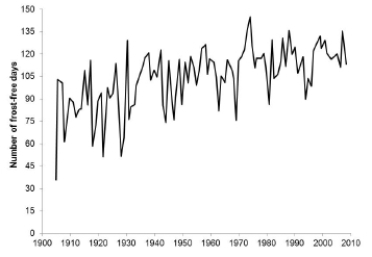 <strong>The U.S. Global Change Research Program examined data for evidence of global climate change. The following graph shows the yearly number of days without frost (air temperature below freezing) between 1904 and 2008 in Fairbanks, Alaska. Which of the following statements about the data is TRUE?</strong> A)There is a clear upward trend but no cyclical pattern. B)There is a clear cyclical pattern but no trend. C)There is a clear upward trend as well as a clear cyclical pattern. D)There is neither a clear trend nor a cyclical pattern.