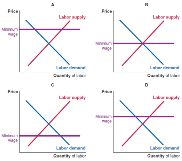 <strong>Consider these four graphs of the labor market, showing four different minimum wage levels. Which graph(s) shows a wage level where there is an excess supply of workers?  </strong> A)graphs A and D B)graph B C)graphs A and C D)graphs B and C <div style=padding-top: 35px> 