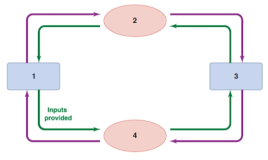 <strong>Refer to the diagram of the circular flow of income. Based on the diagram, box 2 must be: </strong> A)businesses. B)households. C)the market for resources. D)the market for outputs.