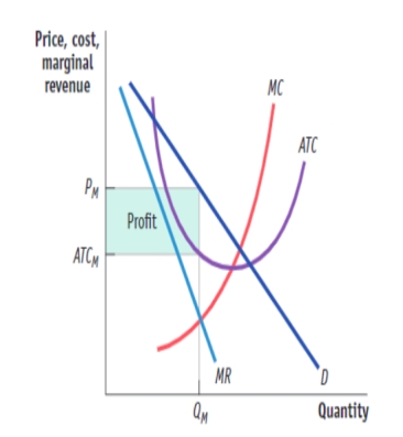 (Figure: Market for Designer Clothing) Use Figure: Market for Designer Clothing. In the long run, firms will: