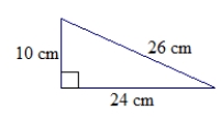 <strong>What is the area in square centimeters of the right triangle given below? </strong> A) 60 square centimeters B) 120 square centimeters C) 240 square centimeters D) 260 square centimeters E) None of these answers is correct.