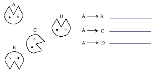 Name the type of rigid motion involved in each of the listed motions. Take into account the different types of eyes.