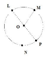 Given the circle with center O shown, give an example of the following. A) a minor arc B) a major arc C) a diameter D) Draw a chord and label it AB. E) Shade in a sector.