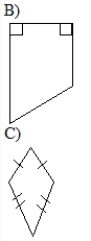 <strong>State whether each of the following shapes can tessellate the plane.</strong> A) a regular 11-gon