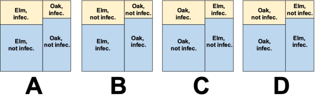 <strong>Consider a study in which trees of two species (elm and oak) were assayed to determine what the probabilities are of being infected with a disease. The data collected are shown in the accompanying table. Which of the mosaic plots below accurately represents the probability values in the data table? ? Probability that trees will be infected with a disease. \begin{array}{lc} \text { Tree species and }\\ \text { infection status } & \text { Probability } \\ \hline \text { Oak tree, infected } & 0.40 \\ \text { Oak tree, not infected } & 0.20 \\ \text { Elm tree, infected } & 0.30 \\ \text { Elm tree, not infected } & 0.10 \end{array} ? ?</strong> A) Plot A B) Plot B C) Plot C D) Plot D