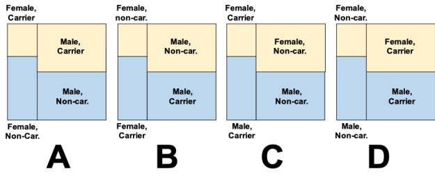 <strong>Consider a study in which swabs from the skin of a random sample of college students were tested for the presence of drug-resistant Staphylococcus Aureus. The data collected are shown in the accompanying table. Which of the mosaic plots below accurately represents the probability values in the data table? ? Probability that male and female patients will carry drug-resistant Staphylococcus Aureus on skin. \begin{array}{lc} \text { Tree species and }\\ \text { infection status } & \text { Probability } \\ \hline \text { Male, carriers } & 0.10 \\ \text { Male, non-carriers } & 0.35 \\ \text { Female, carriers } & 0.20 \\ \text { Female, non-carriers } & 0.35 \end{array} ? </strong> A) Plot A B) Plot B C) Plot C D) Plot D