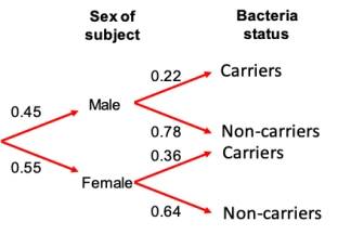 <strong>Consider a study in which swabs from the skin of a random sample of college students were tested for the presence of drug-resistant Staphylococcus Aureus. The probabilities that resulted are shown in the probability tree. Which of the columns in the data table below accurately represents the probability values in the probability tree? </strong> A) Plot A B) Plot B C) Plot C D) Plot D