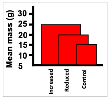<strong>Consider an experiment in which rats are given three diets (reduced calorie, control, and increased calorie) and their masses at 6 weeks of age are measured. Which of the following is NOT an aspect of poor design in the figure shown? </strong> A) The two-dimensional nature of the bars subliminally exaggerates differences between the groups. B) The axis should go to zero to allow true judgement of relative differences. C) The data are shown in a manner that makes judging the values more difficult. D) The unit for mass in the axis label is redundant and makes the label overly wordy.