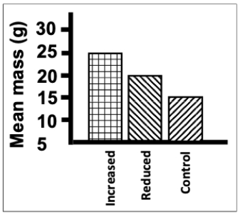 <strong>Consider an experiment in which rats are given three diets (reduced calorie, control, and increased calorie) and their masses at 6 weeks of age are measured. Which of the following is an aspect of poor design in the figure shown? </strong> A) The different patterns for the groups provide no additional information because they are redundant with the labels. B) The figure is black and white; color is always better when making figures and graphs. C) The unit for mass in the axis label should be spelled out with words instead of abbreviated within the parentheses. D) Since the minimum group mean is 20, dropping the axis all the way down to zero is too far and wastes space.