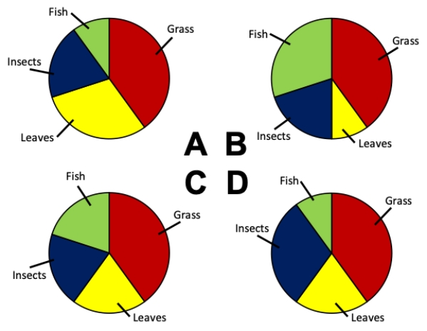<strong>Consider an experiment in which an omnivorous species has its stomach contents analyzed. Which of the pie charts correctly depicts the following values for the diet of the omnivore: 20% grass, 40% leaves, 20% insects, 20% fish? </strong> A) Chart A B) Chart B C) Chart C D) Chart D