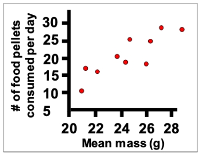 <strong>Consider an experiment in which rats are weighed and then their food consumption is measured. Which of the following terms is the best technical description of the data shown? </strong> A) A casual relationship. B) A causal relationship. C) A positive relationship. D) An upward relationship.