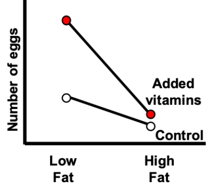 <strong>The interaction plot shown most likely represents which of the following? </strong> A) Effects of diet treatment and an interaction, but no effect of temperature B) Effects of vitamin treatment and an interaction, but no effect of temperature C) Effects of diet and vitamin treatments, and an interaction D) Effects of diet and vitamin treatments, but no interaction