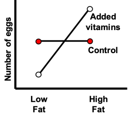 <strong>The interaction plot shown most likely represents which of the following? </strong> A) Effect of diet treatment, no effect of vitamin treatment, with an interaction B) Effect of diet treatment, no effect of vitamin treatment, with no interaction C) Effect of vitamin treatment, no effect of diet treatment, with an interaction D) Effect of vitamin treatment, no effect of diet treatment, with no interaction