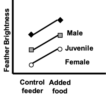 <strong>The interaction plot shown most likely represents which of the following? </strong> A) Associations with diet and bird age/sex, and an interaction B) Associations with diet and bird age/sex treatment, but no interaction C) An association with diet, but no effect of bird age/sex or any interaction D) An association with fertilizer treatment, but no effect of diet or any interaction