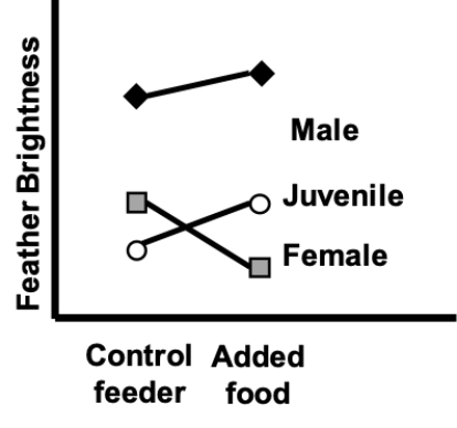 <strong>The interaction plot shown most likely represents which of the following? </strong> A) Associations with diet and bird age/sex, and an interaction B) Associations with diet and bird age/sex treatment, but no interaction C) An association with diet and an interaction, but no effect of bird age/sex D) An association with bird age/sex and an interaction, but no effect of diet