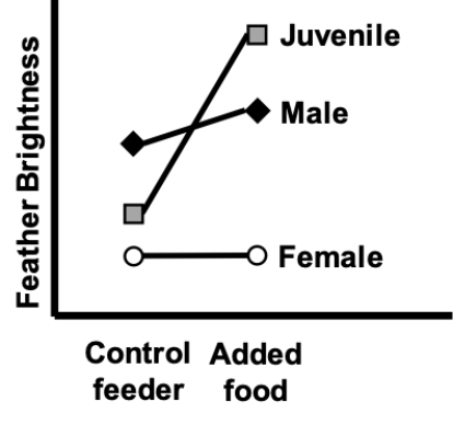 <strong>The interaction plot shown most likely represents which of the following? </strong> A) Associations with diet and bird age/sex, and an interaction B) Associations with diet and bird age/sex treatment, but no interaction C) An association with diet, but no effect of bird age/sex or any interaction D) An association with fertilizer treatment, but no effect of diet or any interaction