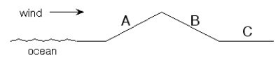 <strong> -The diagram above represents a cross section through a coastal mountain range. Which of the following statements is correct?</strong> A) Region A would receive the most precipitation. B) Region B would receive the most precipitation. C) Region C would receive the most precipitation. D) Regions A, B, and C would receive about the same amount of precipitation.