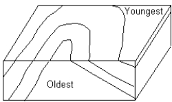<strong> -The structure shown in the diagram above is a(n) ___________.</strong> A) anticline B) basin C) dome D) syncline