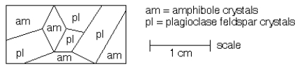 -Which of the following best describes the igneous rock depicted in the diagram above?