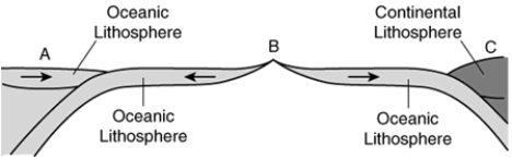 -Which of the following volcanic chains formed at a tectonic setting similar to C?