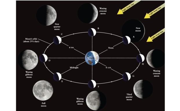 Which way will the horns, or sharp ends of the crescent, of the Moon point in the sky when the Moon is above the western horizon at sunset, at a phase 3 days after new moon? (Hint: Think about what causes the crescent phase of the Moon; Figure 3-2 of Universe, 11th ed., may help.) 