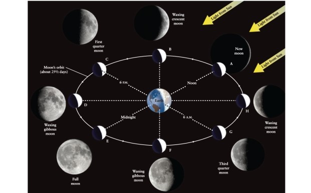 When does the third quarter moon rise? (You may want to examine Figure 3-2 of Universe, 11th ed., and think about where you would need to stand on Earth to see the third quarter moon rising.) 