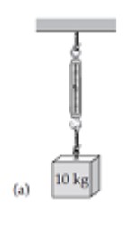 A spring scale typically indicates the magnitude of the tension force exerted on its bottom hook. What will the scale read in each of the cases shown in the diagram? (Hint: Draw a free-body diagram for the scale in each case.) -