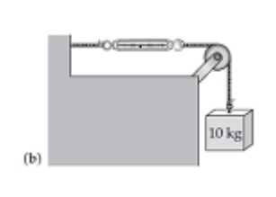 A spring scale typically indicates the magnitude of the tension force exerted on its bottom hook. What will the scale read in each of the cases shown in the diagram? (Hint: Draw a free-body diagram for the scale in each case.) -