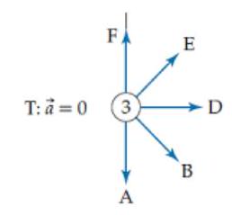 Which one of the arrows below most closely indicates the direction of the bob's acceleration when it is at point 3 ? A) A B) B D) D E) E F) F