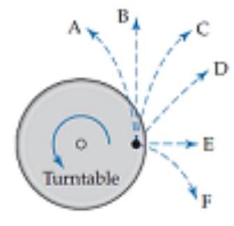 A beetle (black dot on the top view shown below) sits on a rapidly rotating turntable. The table rotates faster and faster, and eventually the beetle loses its grip. What is its subsequent trajectory relative to the ground (assuming it cannot fly)?   A) A B) B C) B D) D E) E F) F 