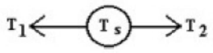 <strong>A rope is connected to a spring scale on the left and exerts a force T_{1} . Another rope is connected to the scale on the right and exerts a force T_{2} . The scale shows a reading of T_{s}=120 \mathrm{~N} . The values of T_{1} and T_{2} are </strong> A) \mathrm{T}_{1}=80 \mathrm{~N} , and \mathrm{T}_{2}=120 \mathrm{~N} . B) \mathrm{T}_{1}=80 \mathrm{~N} , and \mathrm{T}_{2}=80 \mathrm{~N} . C) \mathrm{T}_{1}=240 \mathrm{~N} , and \mathrm{T}_{2}=240 \mathrm{~N} . D) \mathrm{T}_{1}=120 \mathrm{~N} , and \mathrm{T}_{2}=120 \mathrm{~N} .