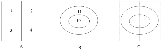 The following figure shows an overlay (Intersect) operation. A represents the input (polygon) layer with ID values from 1 to 4; B represents the intersect (polygon) layer with the ID values of 10 and 11; and C is a graphic representation of the overlay operation. 1) How many polygons will the output have? 2) How many records in the output will have the ID value of 3 from the input layer? 3) How many records in the output will have the ID value of 11 from the intersect layer?