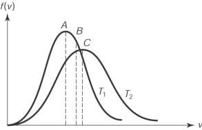 <strong>The figure here shows the distribution of molecular speeds of a gas for two temperatures T<sub>1</sub> and T<sub>2</sub>. The speed \nu _ { A } is </strong> A) the rms speed of the molecules whose temperature is T<sub>1</sub>. B) the rms speed of the molecules whose temperature is T<sub>2</sub>. C) the average speed of the molecules whose temperature is T<sub>1</sub>. D) the average speed of the molecules whose temperature is T<sub>2</sub>. E) the most probable speed of the molecules whose temperature is T<sub>1</sub>.