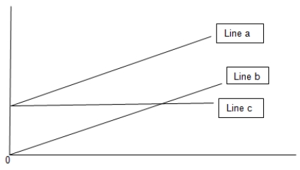 <strong>What does line c on the graph represent?    </strong> A) Variable cost B) Fixed cost C) Total cost D) Revenue <div style=padding-top: 35px> 
