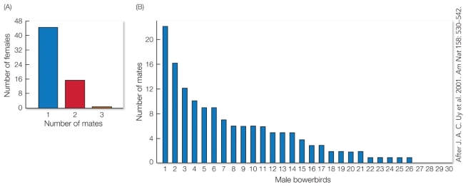 <strong>Refer to the figure. Based on these results, which sex has greater reproductive variance?</strong> A) Females B) Males C) Males and females are the same D) Cannot be determined from the data