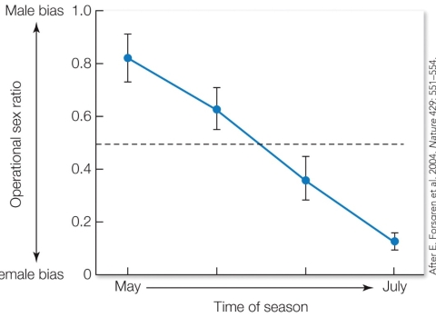 <strong>Refer to the figure. These findings illustrate</strong> A) Bateman's principle, where males have higher reproductive variance than females due to sex differences in mating behavior. B) that sex roles can be dynamic and shift over the course of a single breeding season. C) female parental investment impacts the operational sex ratio during the breeding season. D) that sex role reversal is more likely to occur in species in predictable environments.