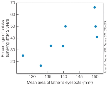 <strong>Refer to the figure. Which model of sexual selection does this data support?</strong> A) Direct benefits. B) The good genes model of sexual selection. C) The runaway selection model of sexual selection. D) The chase-away selection model of sexual selection.
